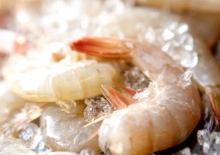 Shrimp Fresh Ingredients